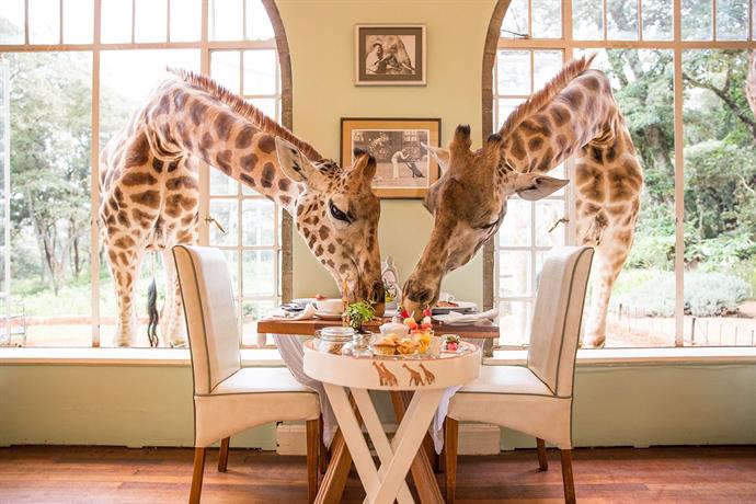 Giraffe Manor Hotel